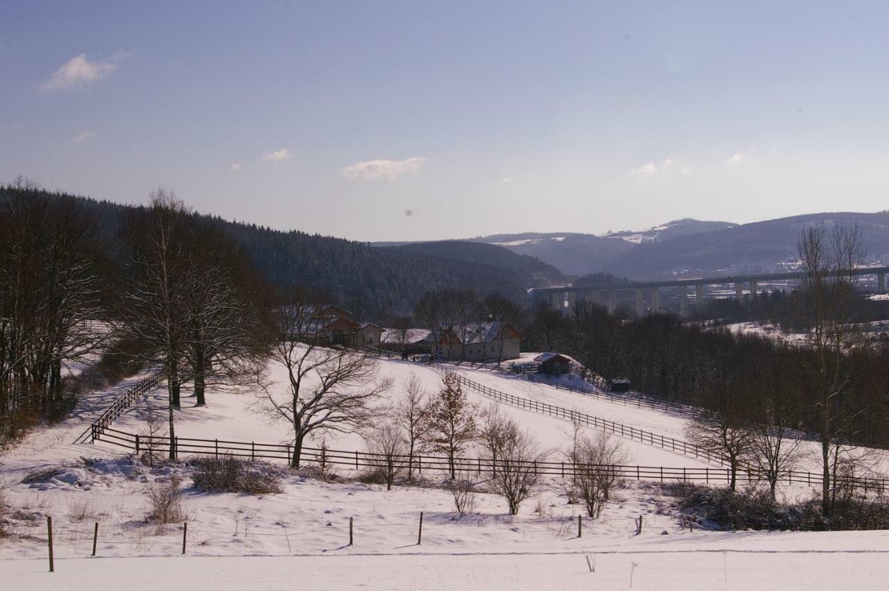 Reiterhof Und Pension Eichenhof Haiger Екстериор снимка